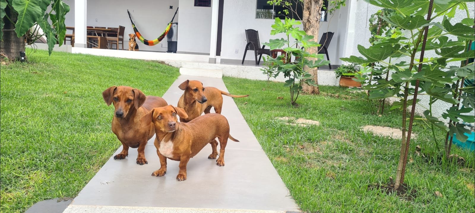 Casa a Venda com 3 Suítes no Boa Esperança Cuiabá