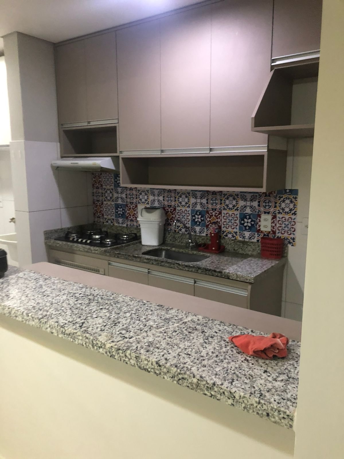 Espetacular Apartamento de 3 Quartos no Residencial Vale das Palmeiras: Aproveite Esta Oferta Exclusiva!